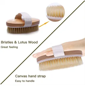 Super Long Curved Handle Pig Mane Bath <b>Brush</b> Foldable for Bathing Cleaning Rubbing Back Brushing - Product Image 5