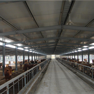 बिक्री के लिए बड़े अवधि इस्पात शेड पूर्वनिर्मित गाय Barns - Product Image 6