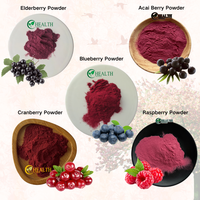 Extrait naturel de betterave (Beta Vulgaris L) en poudre fine rouge-violette 10:1 20:1, matière première botanique de qualité alimentaire