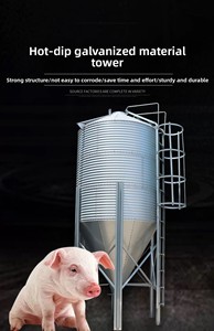Silo à alimentation en acier galvanisé durable de 20 tonnes, <span class=keywords><strong>tour</strong></span> de stockage de céréales résistante aux intempéries pour l'équipement d'élevage avicole et bovin - Product Image 4