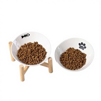 Gamelle surélevée personnalisée pour chat et chien, à rebord incliné, protège la colonne cervicale, évite les taches sur le menton, motif arêtes de poisson/empreintes de pattes