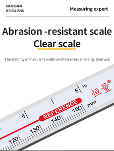 Hengliang เวอร์เนียสแตนเลสดิจิตอลคาลิเปอร์สล็อตคู่<span class=keywords><strong>เข็ม</strong></span>วัดหัวตะขอเดียวคาลิปเปอร์ดิจิตอลอิเล็กทรอนิกส์ความลึก - Product Image 5