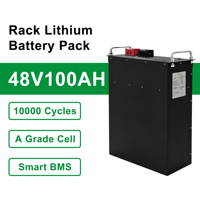 Batterie LiFePO4 à montage en rack, cellules de qualité A, BMS intelligent, stockage d'énergie solaire hors réseau, batterie au lithium