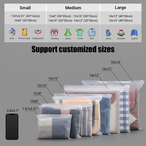 Chất Lượng Cao Nhựa Biểu Tượng Tùy Chỉnh Rõ Ràng Minh Bạch Frosted Dây Kéo Túi Poly Với Zip Khóa Cho Quần Áo Bao Bì Đồ Lót - Product Image 6