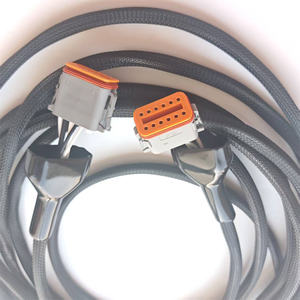 IATF16949 인증 전문 케이블 하네스 공급업체 12p DT06 DT12S 방수 커넥터 케이블 및 와이어 하네스 어셈블리(커버 포함) - Product Image 4