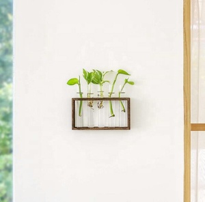 Support mural en bois pour plantes suspendues, station <span class=keywords><strong>de</strong></span> propagation en verre, vase en tube à essai, <span class=keywords><strong>pot</strong></span> <span class=keywords><strong>de</strong></span> fleurs écologique pour jardin - Product Image 6