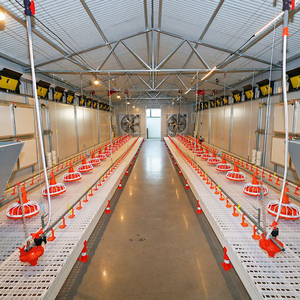 Sistema di Alimentazione Ecologico su Larga Scala Huabang HB-P25 per Allevamenti Commerciali di Polli da Carne e Ovaiole - Product Image 1