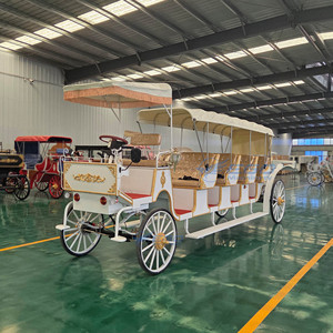 Chariot de Mariage Électrique Populaire pour Touristes, 4+1 Rangées, Type Carrosse Européen, Certifié CE - Product Image 6