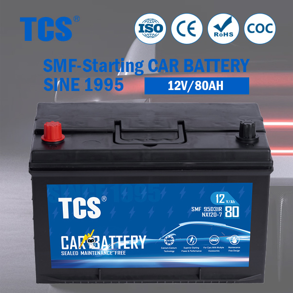 Tcs 95D31r (NX120-7) JIS Standard Maintenance Free Lead Acid 12V 80ah Automotive Car Battery