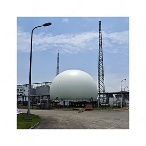 Atacado tamanho grande família tamanho dupla membrana biogás armazenamento titular biogás gerador 10 kw