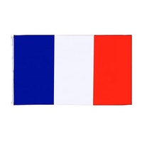 Drapeaux de pays en gros bon marché Drapeau de l'Équateur 3x5 pieds Polyester Drapeaux nationaux équatoriens Polyester avec œillets en laiton 3x5 pieds