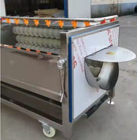 Professionele continue elektrische aardappelborstelrolwasmachine voor voedselverwerkingslijnen