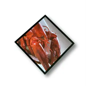 Nouveau Pro 33.1 pouces grand écran LCD Art numérique affichage d'image Smart NFT décoratif Wifi cadre Photo pour galerie
