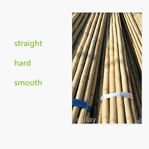 ขายส่งไม้ไผ่ตงกิ้น ไม้ไผ่สำหรับตกแต่ง<span class=keywords><strong>บ้าน</strong></span>หรืองานก่อสร้าง - Product Image 2