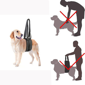 Arnés de Asistencia para Perros, Negro, Talla S-L, Ajustable, Soporte para Perros Grandes, Ayuda para la Movilidad, Caminata, Rehabilitación y Cuidado - Product Image 4