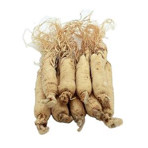 Новые сушеные районы changbai, высококачественный цельный белый корень и корень женьшеня для трав - Product Image 2
