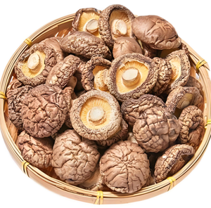 Kurutulmuş <span class=keywords><strong>Shiitake</strong></span> mantarları insanların tüketimi için toplu olarak yüksek kaliteli popüler ihraç ürünü - Product Image 1