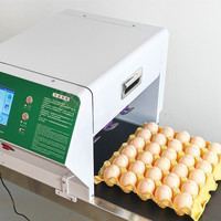 Waisu Fabrieksprijs Industriële Automatische Ei-Inkjet-Printermachine Om Eieren Te Markeren Datum Printer Logo Slimme Codeermachine