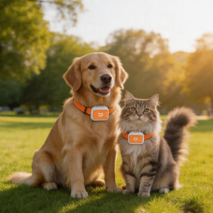 Traceur GPS pour chat et <span class=keywords><strong>chien</strong></span> avec positionnement multi-technologies BeiDou GPS AGPS WiFi LBS, suivi de localisation en temps réel, collier étanche - Product Image 4