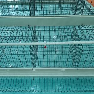 Jaula para gallinas ponedoras tipo A, galvanizada en caliente, para 160 gallinas. - Product Image 3