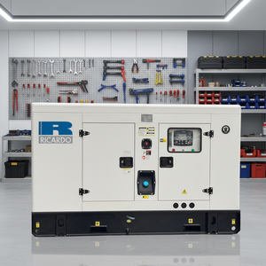 Generador Diésel Silencioso Ricardo Power <span class=keywords><strong>de</strong></span> 20kw 30kw 30kva 50kva con Arranque Automático, Monofásico y Trifásico con ATS para Uso Doméstico - Product Image 1