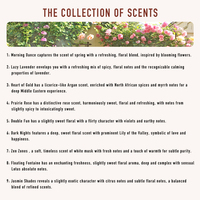 Logo personnalisé 9 parfums respectueux de l'environnement 300ml parfum de lessive liquide parfum de lavage longue durée par le fabricant