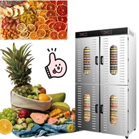 Industriële droogmachine voor hoogwaardig beef jerky, groenten en fruit, multifunctioneel met roestvrijstalen bakken, energiezuinig