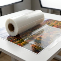 Film de plastification thermique haute transparence 200 microns pour protection photo, fourni par l'usine