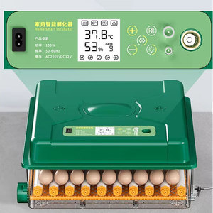 Incubatrice Automatica per 192 Uova di Gallina 220V/110V/12V, Macchina per la Schiusa di Uova di Quaglia, Anatra, Oca e Piccione - Product Image 2