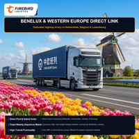 Firebird.DDP.truck.transport.to.europe.amazon.warehouse.no.extra.handling.for.pallet.shipments
