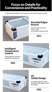 Congélateur à double porte avec thermostat mécanique réglable et porte coulissante entièrement vitrée pour supermarchés, restaurants et vendeurs ambulants - Product Image 3