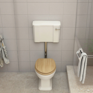 Céramique Wc Sol Debout Salle De Bains Toilette Industrielle Chasse D'eau Dissimulée Placard Haut Niveau Toilette Pan Salle De Bains À Un Londonien - Product Image 5