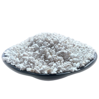 Substrat de culture hors-sol pour jardinage, perlite expansée blanche 1-3mm pour plantes horticoles