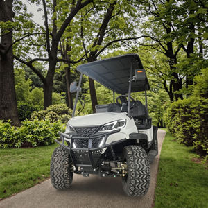 Buggy Todoterreno de Camuflaje, Vehículo Eléctrico de 4 Plazas, Carro de Golf Eléctrico con Motor de 5000W, Ruedas de Aleación de Aluminio para Caminos No Públicos - Product Image 2