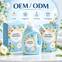 Détergent à lessive liquide avec emballage en carton personnalisé pour les marques de détail et les importateurs de produits ménagers