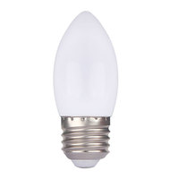 Ampoule LED DC 5V/37V Alimentée par USB Culot E27 Type Bougie C35 en Plastique pour Jardin 3000 Heures 3000K/6500K