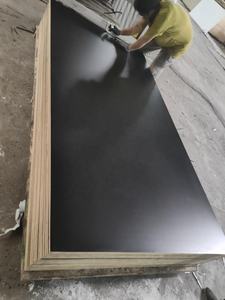 Contreplaqué platique plastifié HPL — 18mm, 20 pièces, <span class=keywords><strong>prix</strong></span> bon marché, pour <span class=keywords><strong>Jordan</strong></span> israël - Product Image 6