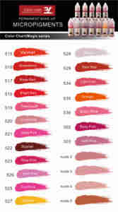ลิปสีเพ้นติ้งไมโครเบลดดิ้งสีสำหรับการสักคิ้วแบบไฮบริด - Product Image 5