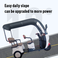 2025 pas cher 3 roues E cyclomoteur 650w Tricycle électrique avec auvent pour adulte