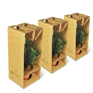 Kraft papier Umwelt freundliche Vitrinen aus Wellpappe Pflanzen verpackungs box mit Fenster