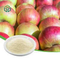 Topverkochte 100% natuurlijke, voedingsgeschikte, witte, wateroplosbare, gevriesdroogde appelvruchtextractpoeder, 1 kg trommel/fles/blik, ISO