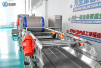 Ligne de production de transformation des fruits et légumes, équipement de nettoyage, de lavage et de tri avec brosse à rouleaux