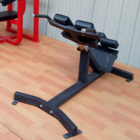 Banc d'entraînement musculaire abdominal réglable à 45 degrés pour usage commercial en salle de sport, banc d'exercice hyper, chaise d'entraînement romaine, extension dorsale