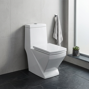 WC monobloc en céramique de style classique, à chasse d'eau par siphon, avec siphon en P ou en S, à poser au sol - Product Image 5