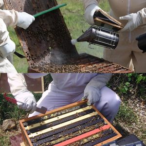 Kit d'apiculture Honey Lake comprenant un enfumoir pour ruche avec 54 pastilles d'enfumoir et 2 outils pour ruches, état neuf - Product Image 5
