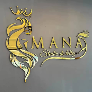 Insegna con Lettere in Acrilico Personalizzate per Logo di Salone, Ufficio, Reception, Edifici, Pubblicità, Insegna per Negozio, Lettere da Parete - Product Image 3