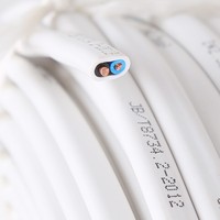 Kabel Daya Bangunan Berinti Tembaga Padat 2/3 Core, Kawat Tanah Kembar Pipih, Berisolasi PVC, 300V/500V