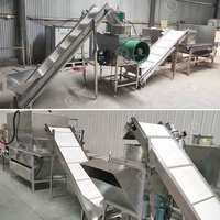 Machine automatique industrielle à éplucher les bulbes d'ail et de gingembre pour fabriquer des éplucheurs séparés et une gamme de produits en Égypte