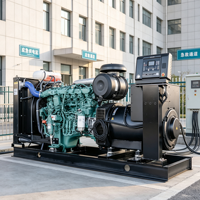 Groupe électrogène diesel 150KW 300KW 50Hz 400V Triphasé pour projets industriels et alimentation de chantier en Irak et en Jordanie – Alimentation de secours fiable