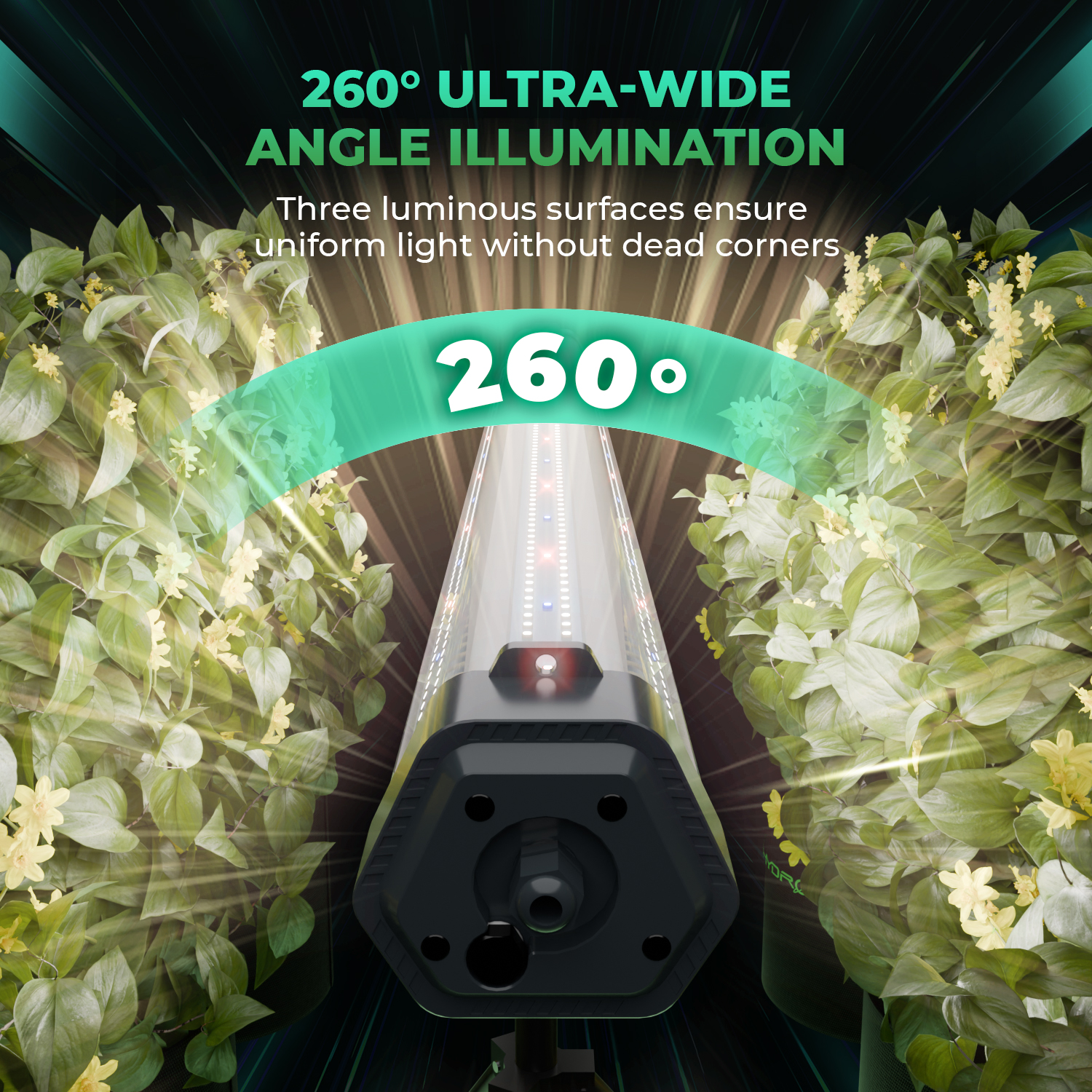 mars hydro under canopy grow light